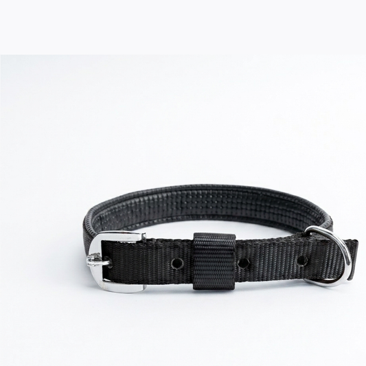 Foam Padded Dog Collar — Soft Nylon, Adjustable Fit