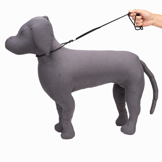Kennel Nylon Show Leash Cord With Round Clamp
