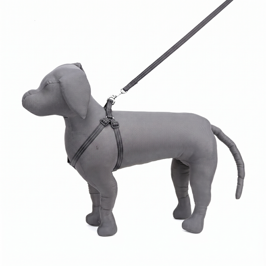 Kennel Nylon Pattern Adjustable Dog Harness