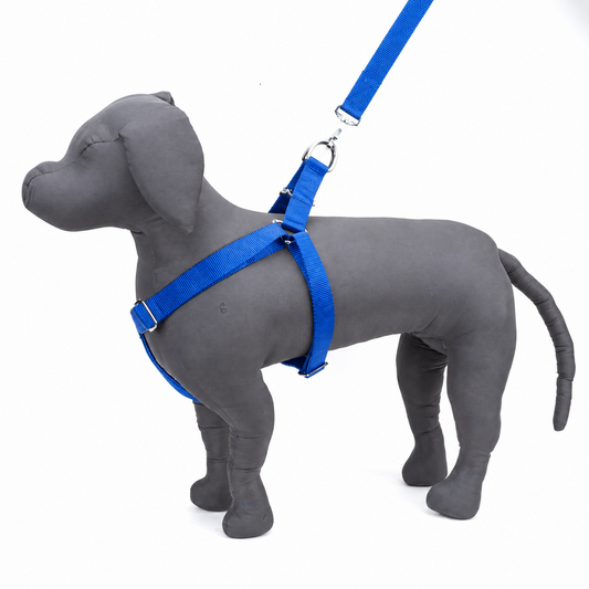 Kennel Foam Padded Soft Nylon Adjustable Harness – Large | Comfortable No-Pull Dog Harness