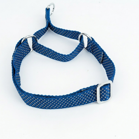 Kennel Reflective Nylon Martingale Dog Collar