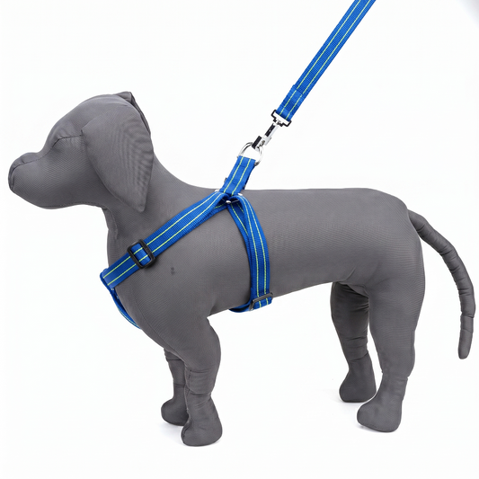 Kennel Padded Nylon Pattern Adjustable Harness – Comfortable & Durable Dog Harness