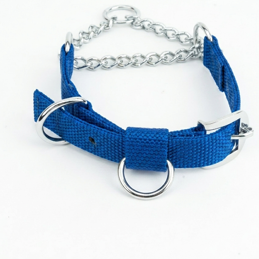 Dog Martingale Collar – Nylon & Chain, Adjustable Fit