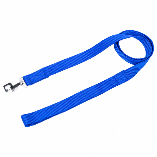 Kennel Soft Nylon Dog Leash – Lightweight & Durable Lead | Comfortable Grip for Daily Walks
