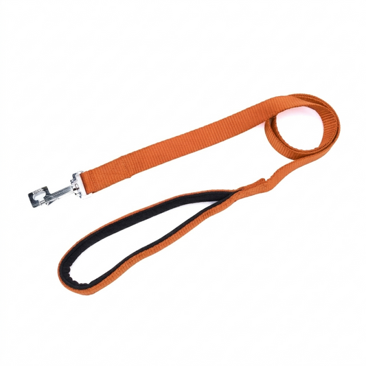 Kennel Padded Nylon Dog Leash – Soft Grip, 48 Inch