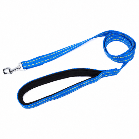 Padded Nylon Dog Leash with Foam Grip | Kennel