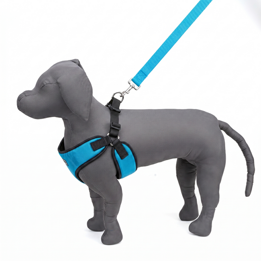 Kennel Step-In Harness | Adjustable No-Pull Dog Harness | Easy to Wear