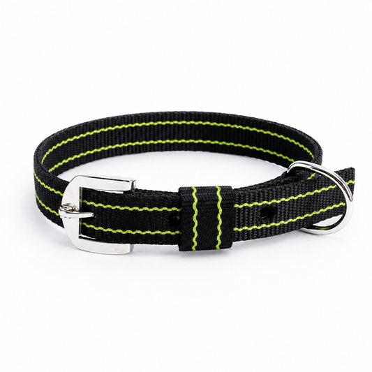 Kennel Nylon Pattern Dog Collar – Multi-Size