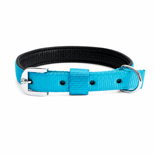 Foam Padded Dog Collar — Soft Nylon, Adjustable Fit