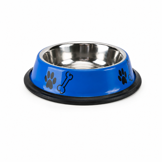 Stainless Steel Dog Feeding Bowl – Anti-Skid, Printed