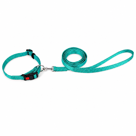 Kennel Soft Nylon Click Lock Dog Collar and Leash Set