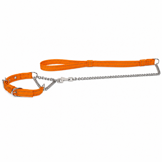 Martingale Collar and Leash Set | Patterned Nylon