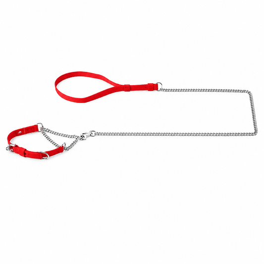 Martingale Dog Collar and Leash Set – Chain & Furlon, 2 mm