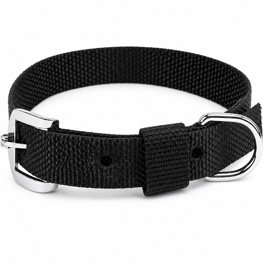 Kennel Nylon Dog Collar for Everyday Use