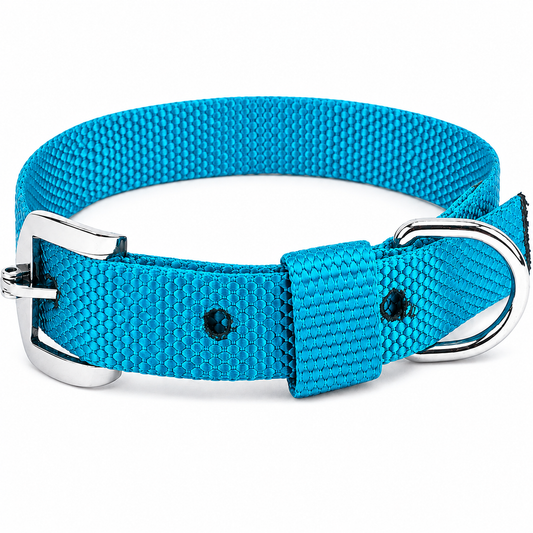Kennel Nylon Dog Collar for Everyday Use