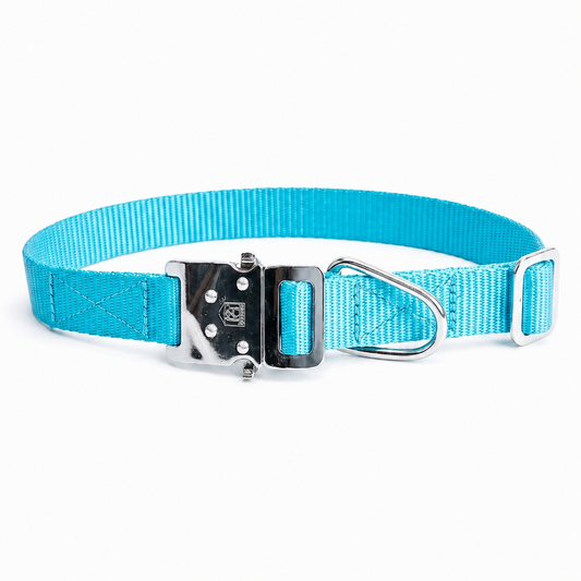 Premium Nylon Dog Collar with Metal Click Lock | Kennel