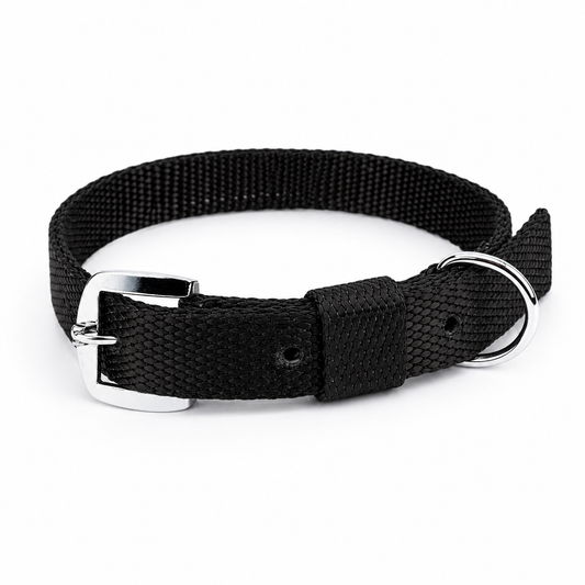 Nylon Dog Collar – Adjustable & Durable | Kennel