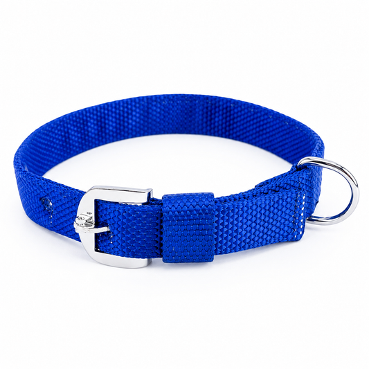 Kennel Nylon Dog Collar – Adjustable & Lightweight