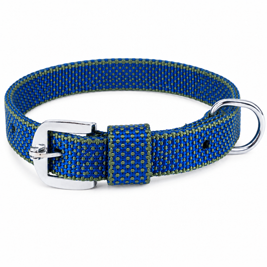 Kennel Nylon Dotzy Dog Collar – Soft & Adjustable