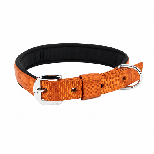 Dog Padded Collar – Soft Nylon, Adjustable | Kennel