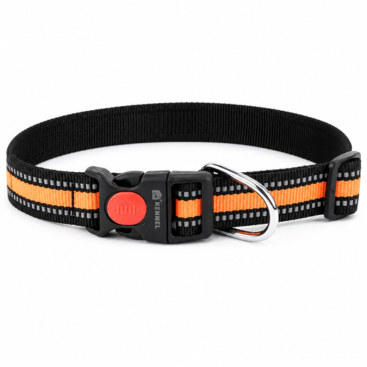 Kennel Reflective Dog Collar – Adjustable Nylon Safety