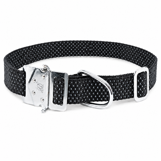 Kennel Reflective Dog Collar with M.S. Lock – 1 Inch