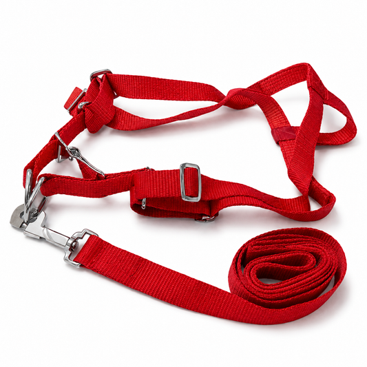 Foam Padded Nylon Dog Harness & Leash Set — Click-Lock Adjustable