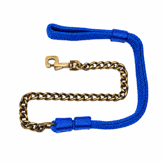 Nylon Brass Chain Dog Leash – Rust-Proof & Durable