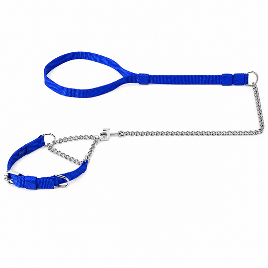 Martingale Dog Collar & Leash Set – Nylon Chain Training