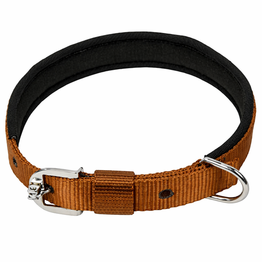 Kennel Padded Nylon Collar | Soft Comfort Everyday Dog Collar