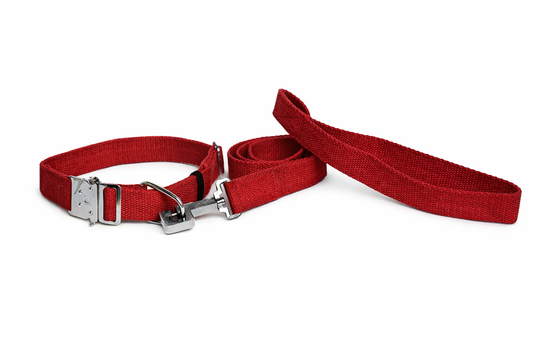 Kennel Cotton M.S. Click Lock Collar & Leash Set | Durable & Comfortable Dog Walking Set