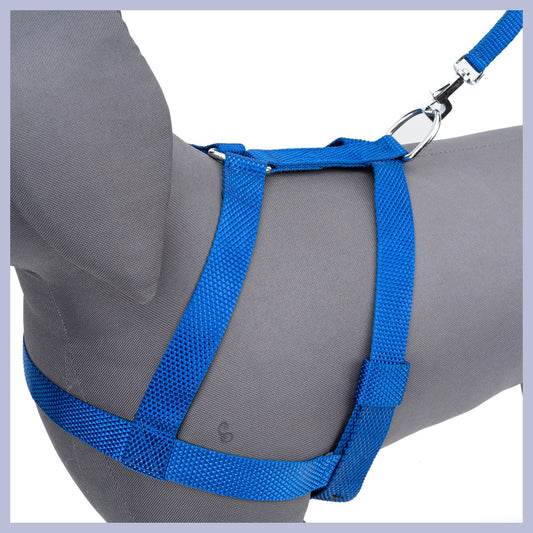 Kennel Padded Nylon Dog Body Harness