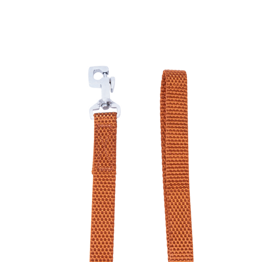 Kennel Nylon Leash – Lightweight & Durable Dog Leash