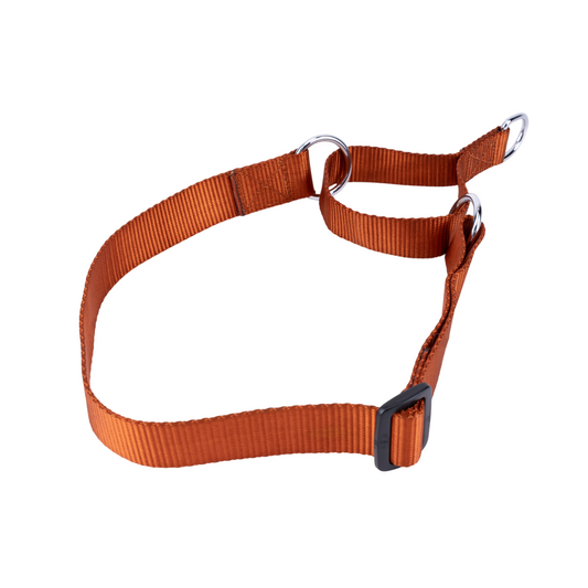Kennel Nylon Martingale Collar for Dogs – No-Slip Training & Control Collar