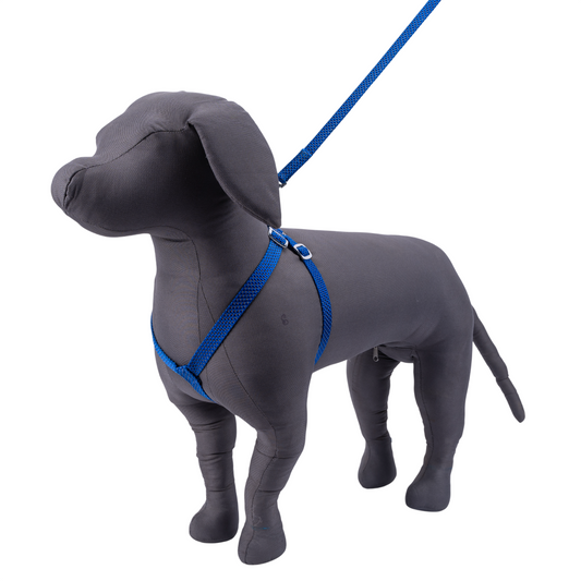 Kennel Premium Reflective Nylon Click Lock Adjustable Dog Harness ( Premium All Over Reflective Nylon Cl Adjustable Harness )