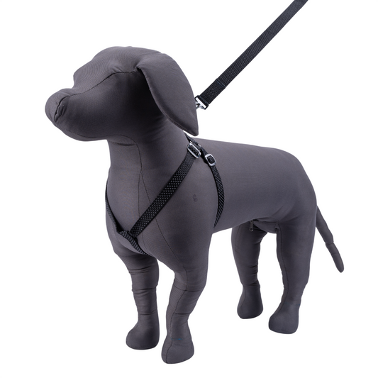 Kennel Premium Reflective Nylon Click Lock Adjustable Dog Harness ( Premium All Over Reflective Nylon Cl Adjustable Harness )