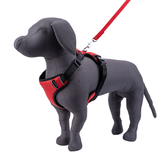 Kennel Full Body Harness | Adjustable No-Pull Harness for Puppies & Toy Breeds | Soft, Lightweight & Reflective