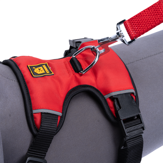 Kennel Full Body Harness | Adjustable No-Pull Harness for Puppies & Toy Breeds | Soft, Lightweight & Reflective