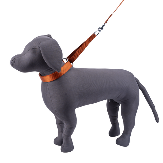 Kennel Nylon Martingale Collar for Dogs – No-Slip Training & Control Collar