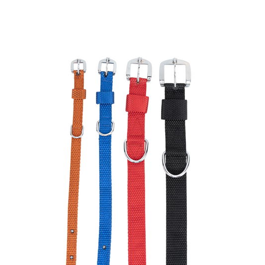 Kennel Nylon Collar – Lightweight Adjustable Everyday Dog Collar