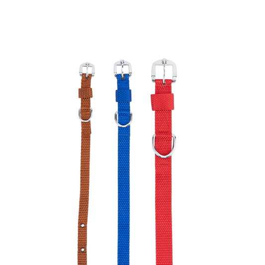 Kennel Nylon Half Collar - Everyday Dog Collar