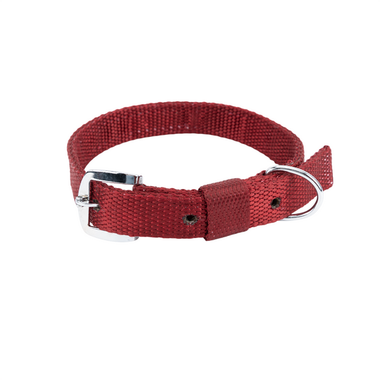 Kennel Premium Nylon Collar | Strong, Adjustable Everyday Dog Collar