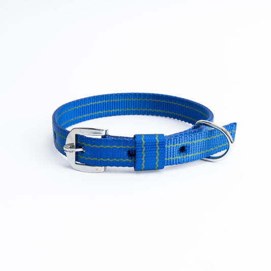 Kennel Nylon Pattern Dog Collar – Lightweight Design Collar
