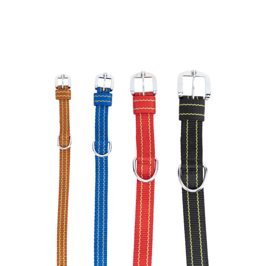 Kennel Nylon Pattern Dog Collar – Lightweight Design Collar