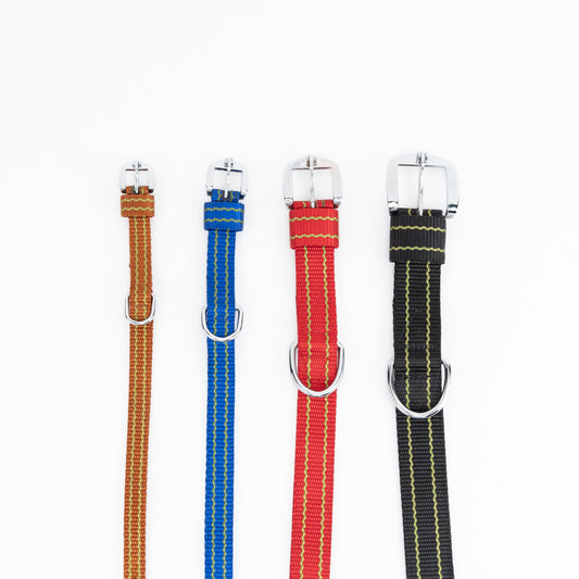 Kennel Nylon Pattern Dog Collar – Lightweight Design Collar