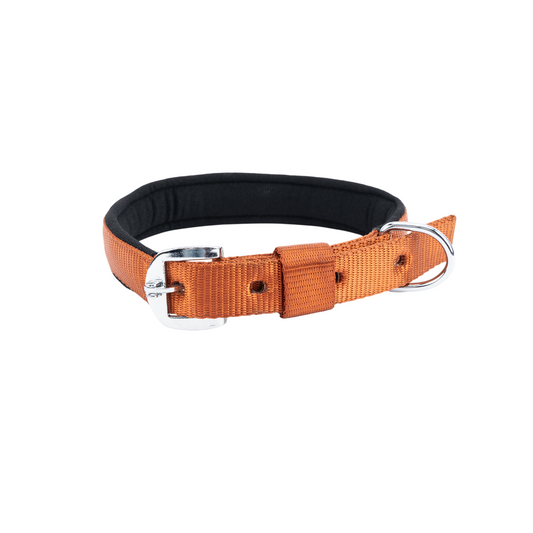 Kennel Padded Nylon Collar | Soft Comfort Everyday Dog Collar