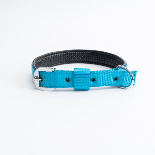 Kennel Foam Padded Nylon Collar | Soft, Durable & Adjustable Dog Collar