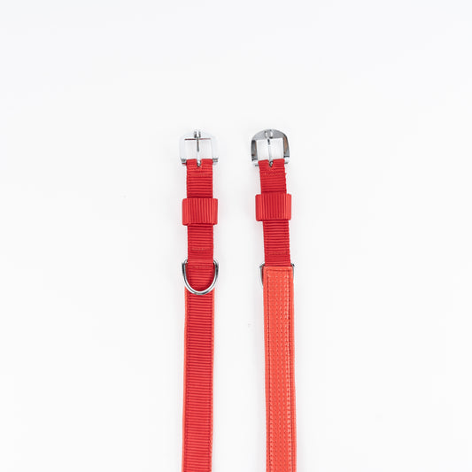 Kennel Foam Padded Nylon Collar | Soft, Durable & Adjustable Dog Collar