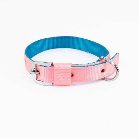 Kennel Soft Two-Color Nylon Dog Collar – Lightweight Adjustable Collar