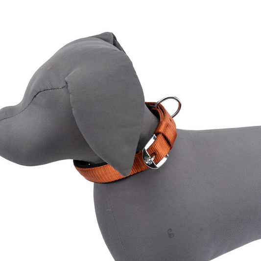 Kennel Padded Nylon Collar | Soft Comfort Everyday Dog Collar